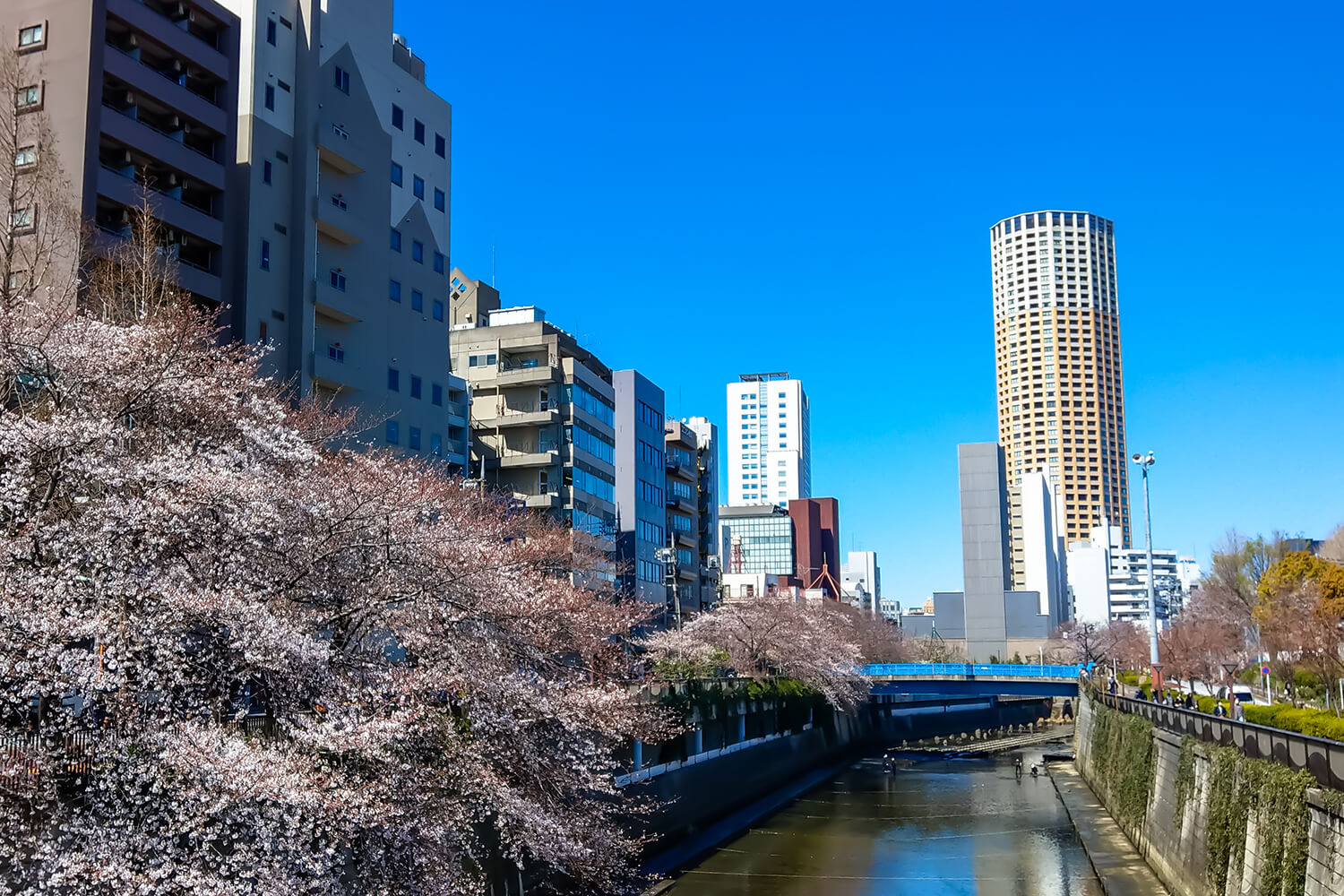 目黒区のパーソナルジム1